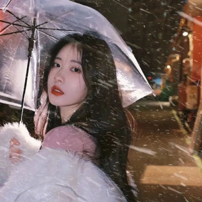 秋田犬蓬夫