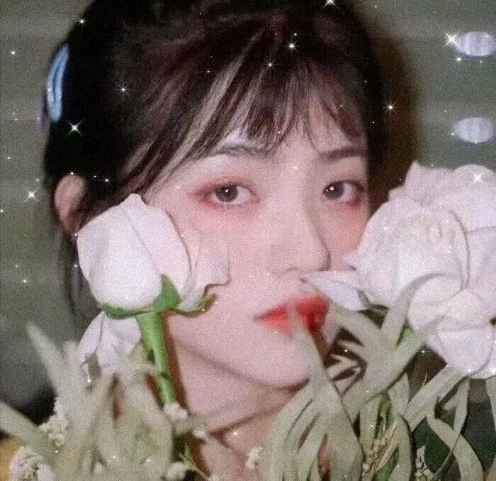 网红惊魂